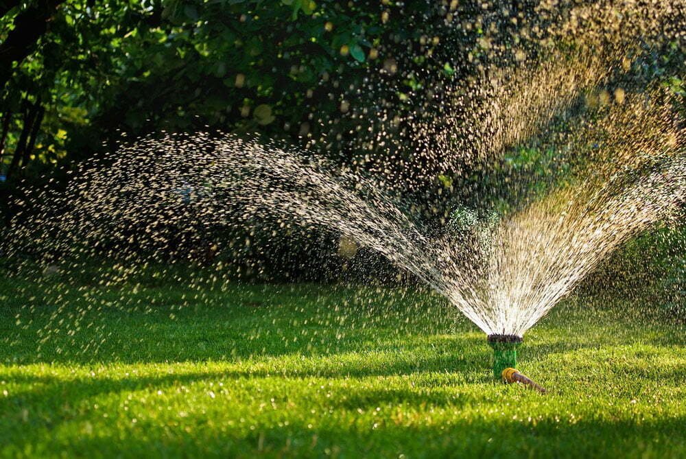 shutterstock_82752859