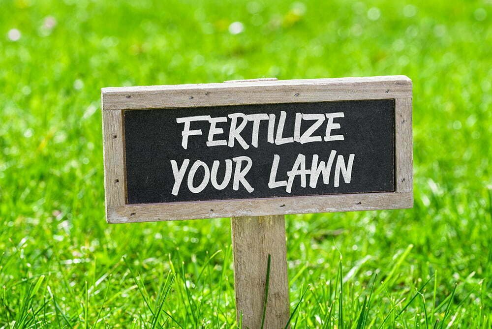 Lawn-Fertilize