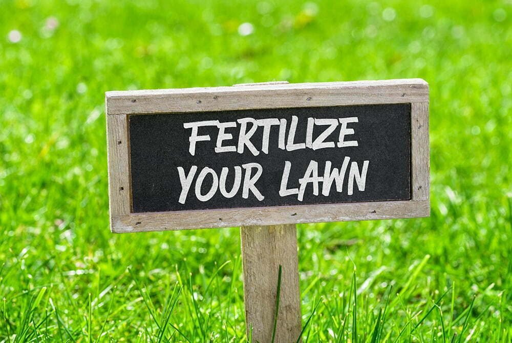 Lawn-Fertilize