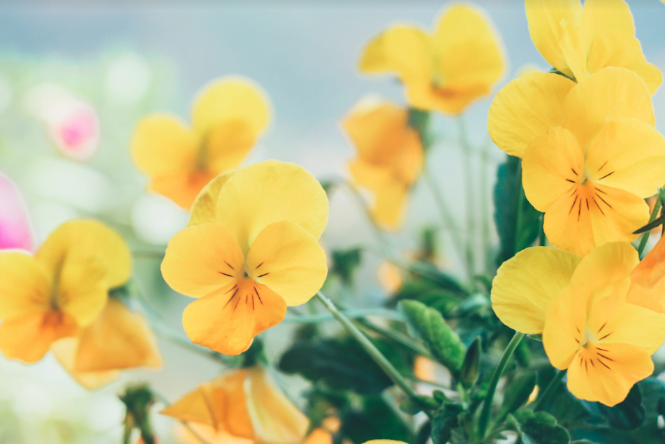 Screenshot 2023-03-16 172058